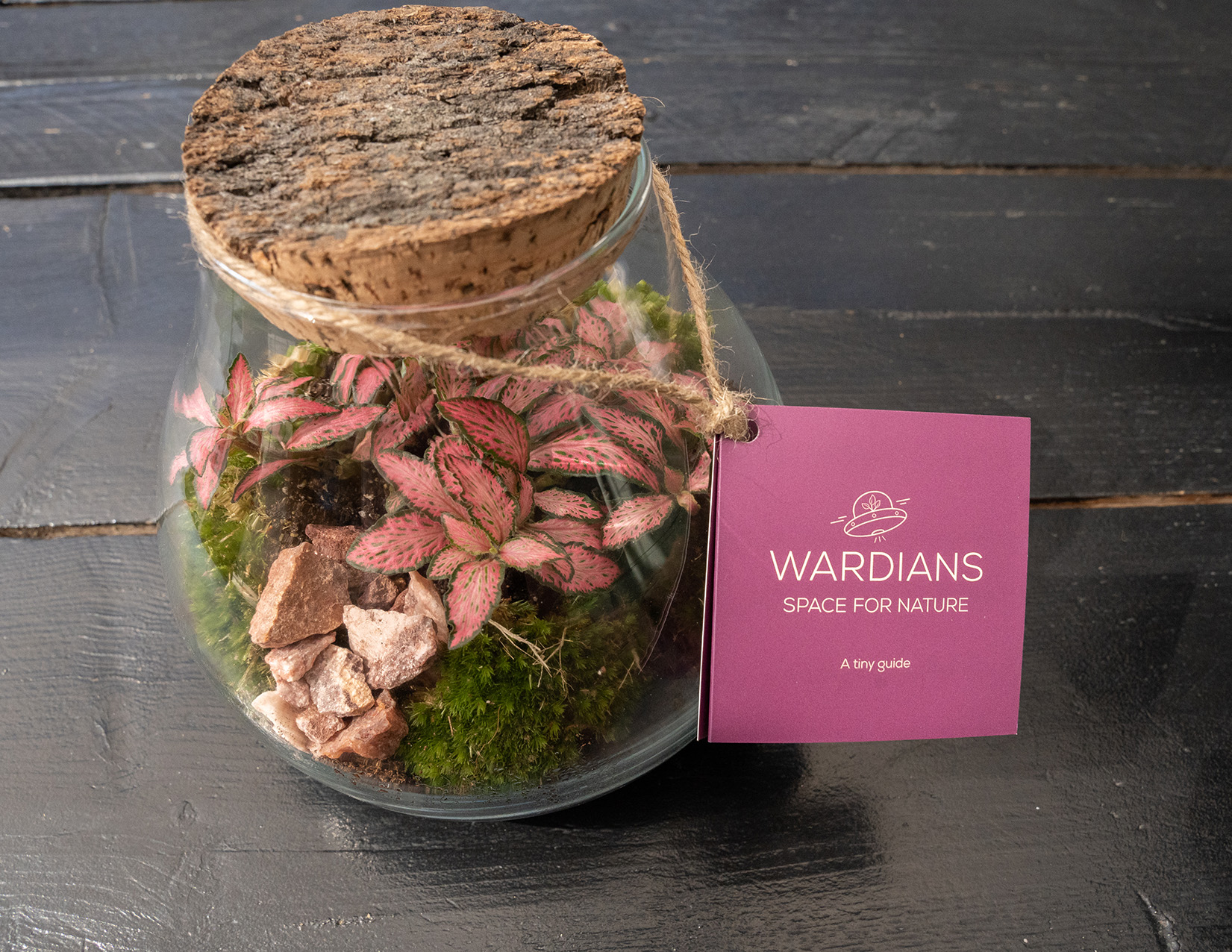 Warians - Where to buy